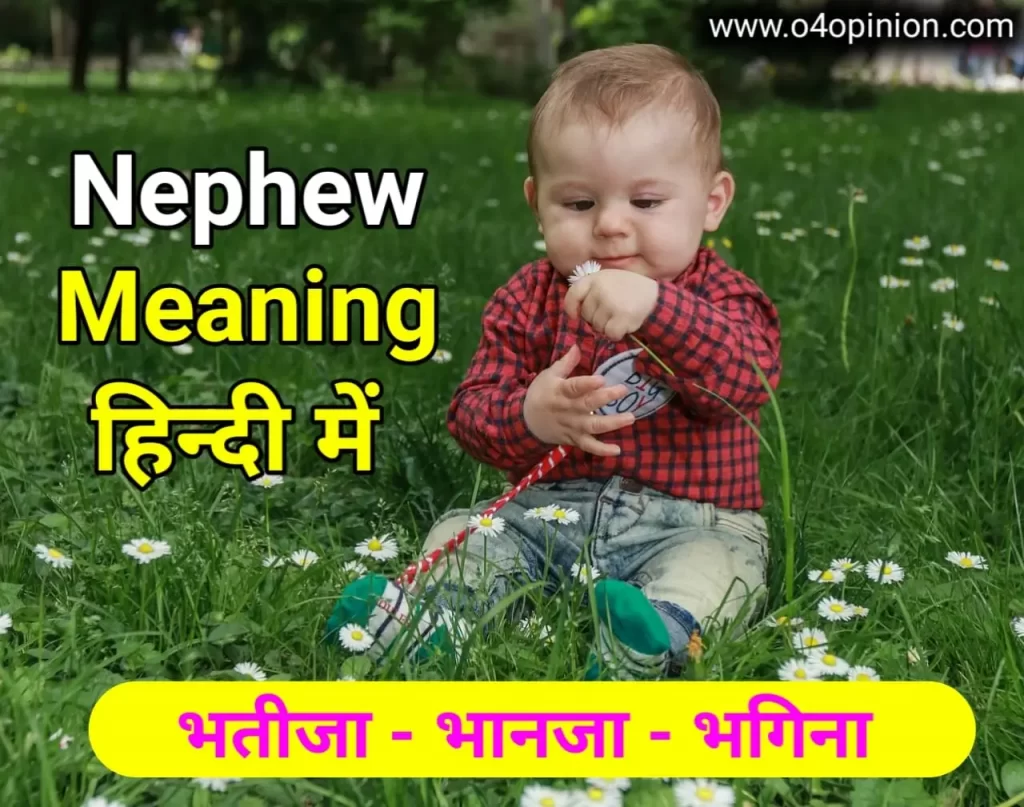bhatija nephew meaning matlab in hindi