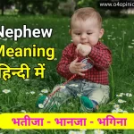 bhatija nephew meaning matlab in hindi