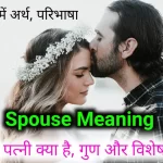 spouse meaning in hindi, spouse ka matlab , arth, pati, patni, kya hai visheshtayen aur gun