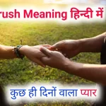 crush meaning in hindi, crush ka matlab kya hota hai love , first, you are my cursh etc