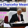 Pro vice chancellor meaning in hindi kya hota hai aur kise kahte hai , university job tittle