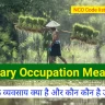 primary occupation meaning kya hai hindi nco code list