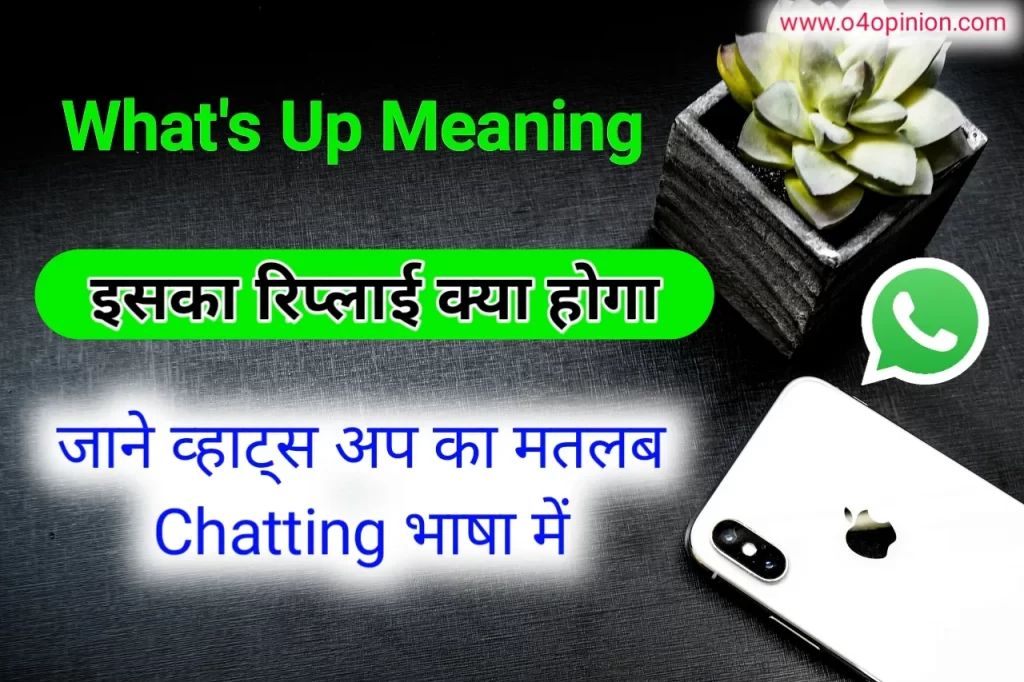 what's up meaning hindi reply in whatsapp chat