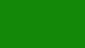 Indian Flag Green Color