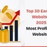 Top 30 Earning Websites 2025 | Most Profitable Websites